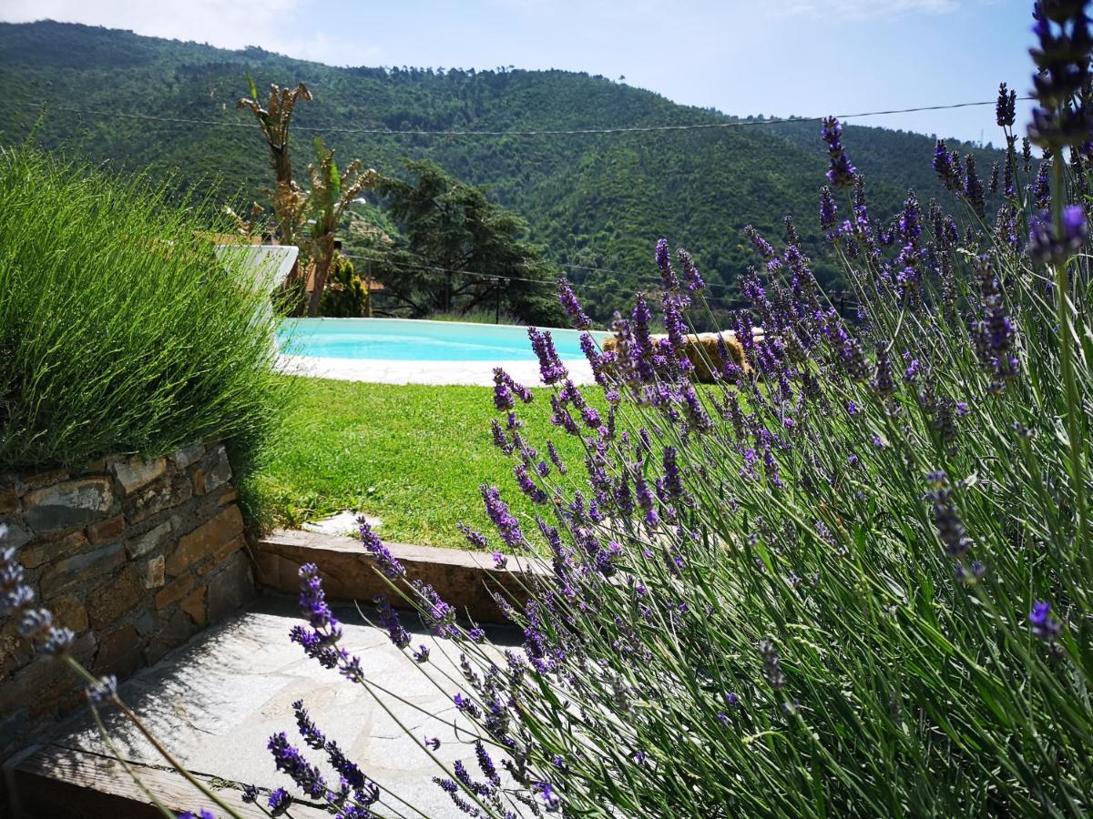 Agriturismo CÀ DÜ NONU Vallebona Exterior foto